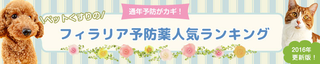firalia-renew2015-landingpage-header-new.png